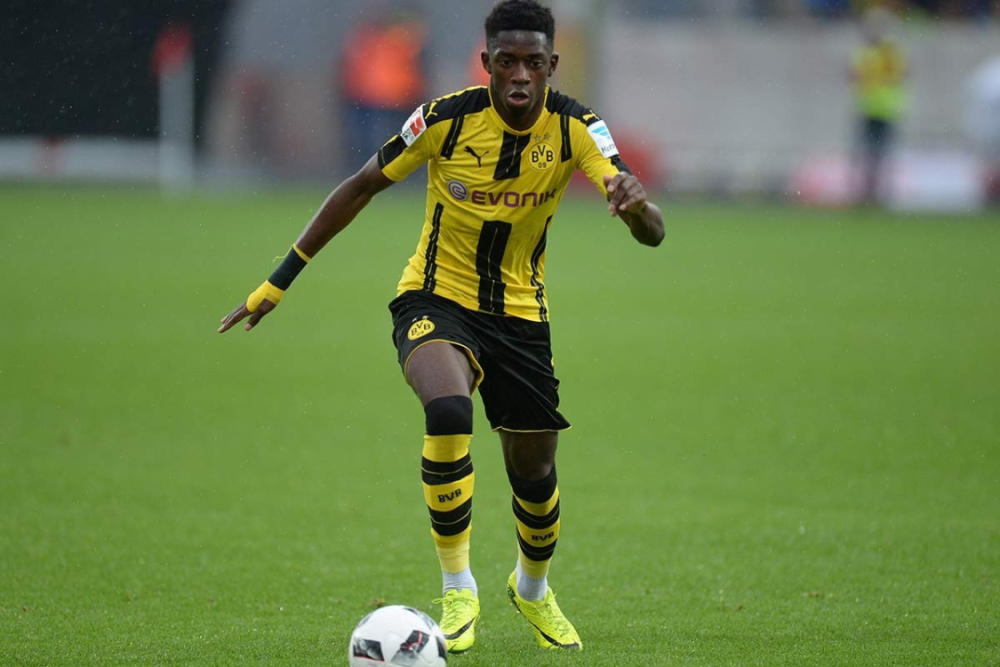 的活动日 的活动日