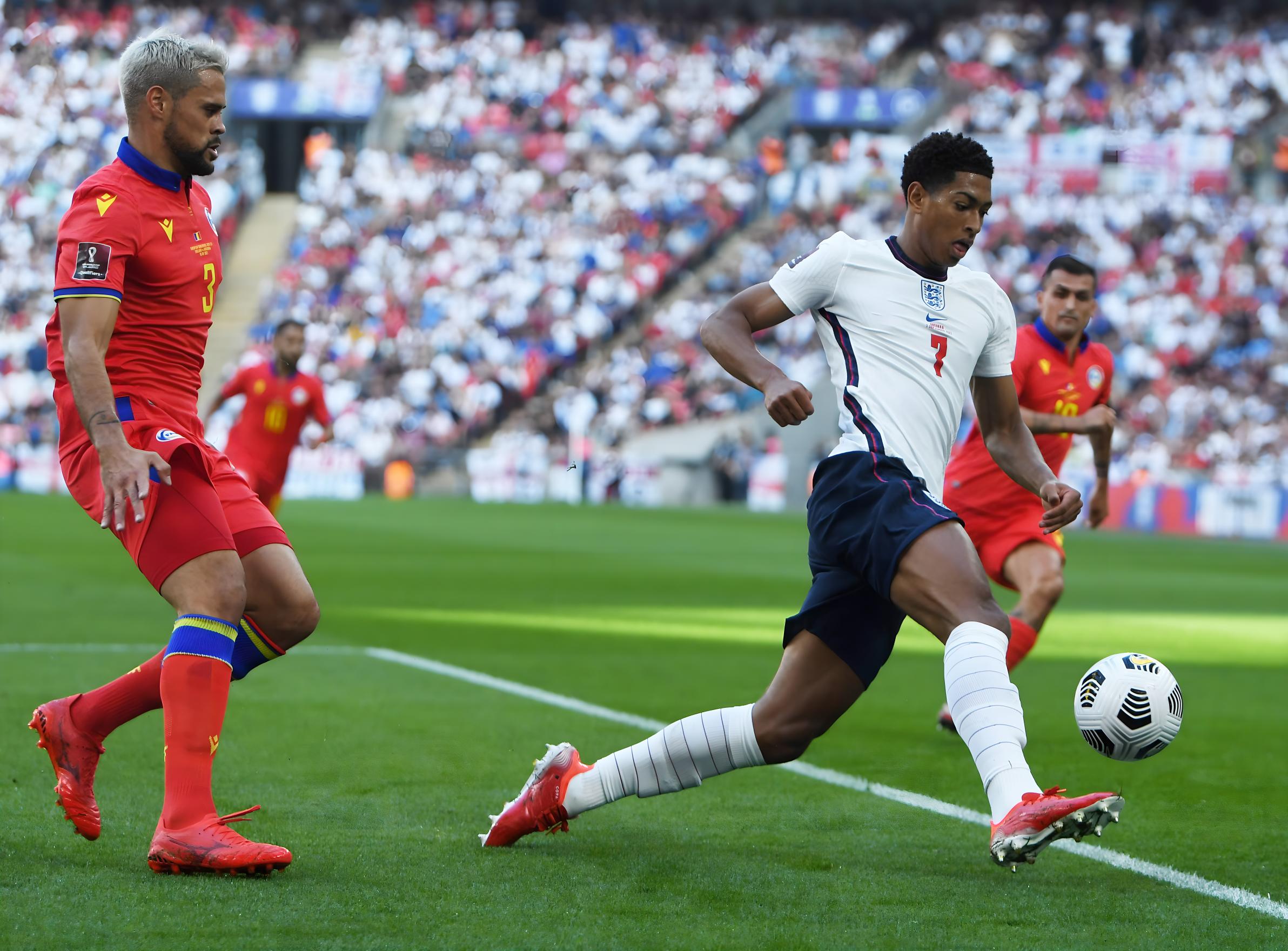 体系更加多 体系更加多