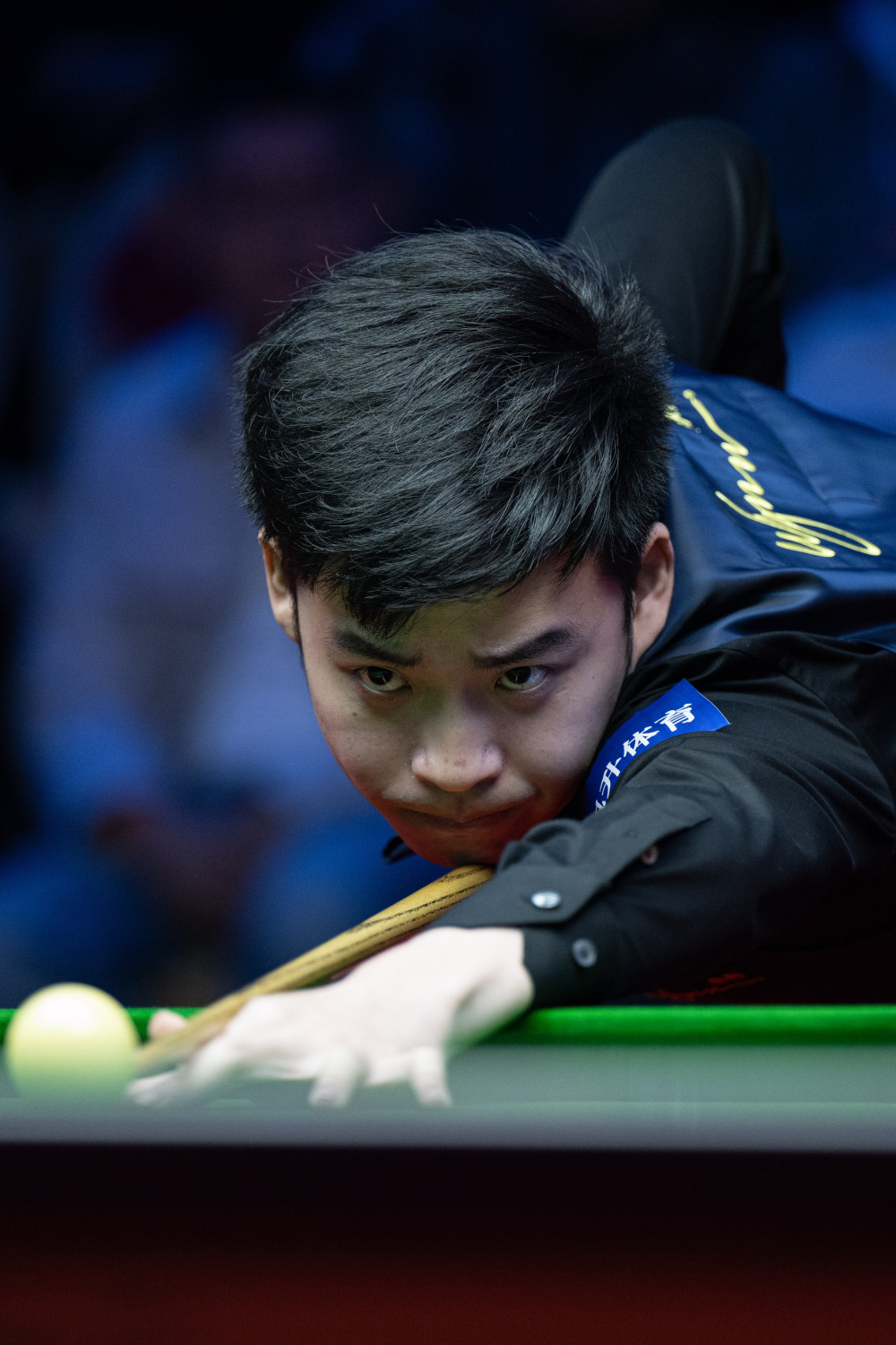 把视野投入 把视野投入